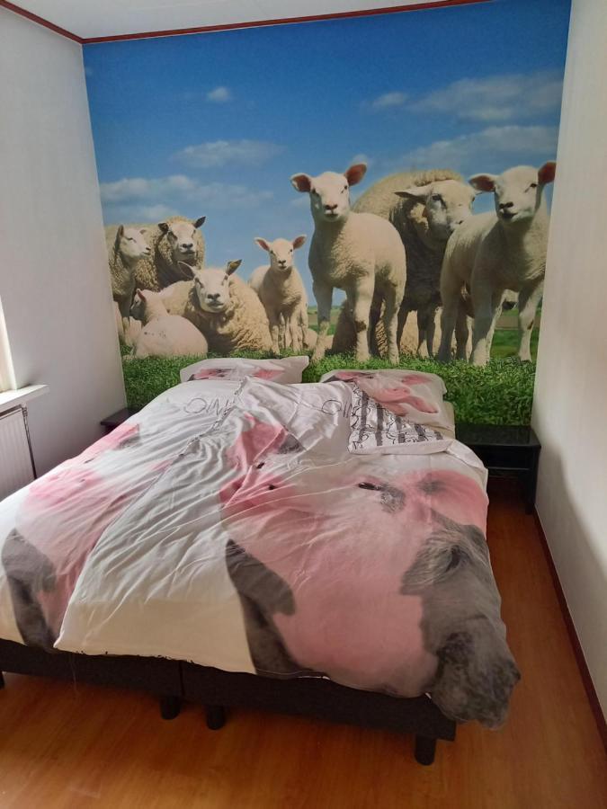 Aan 't Weitje Ferienhaus *