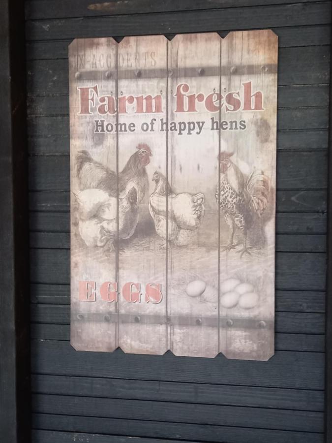 Ferienhaus Aan 't Weitje *