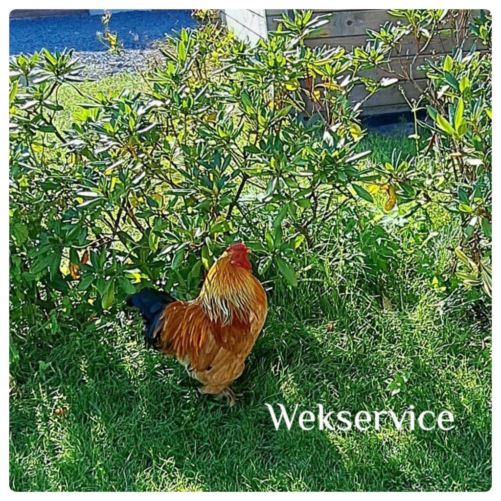 Aan 't Weitje Ermelo